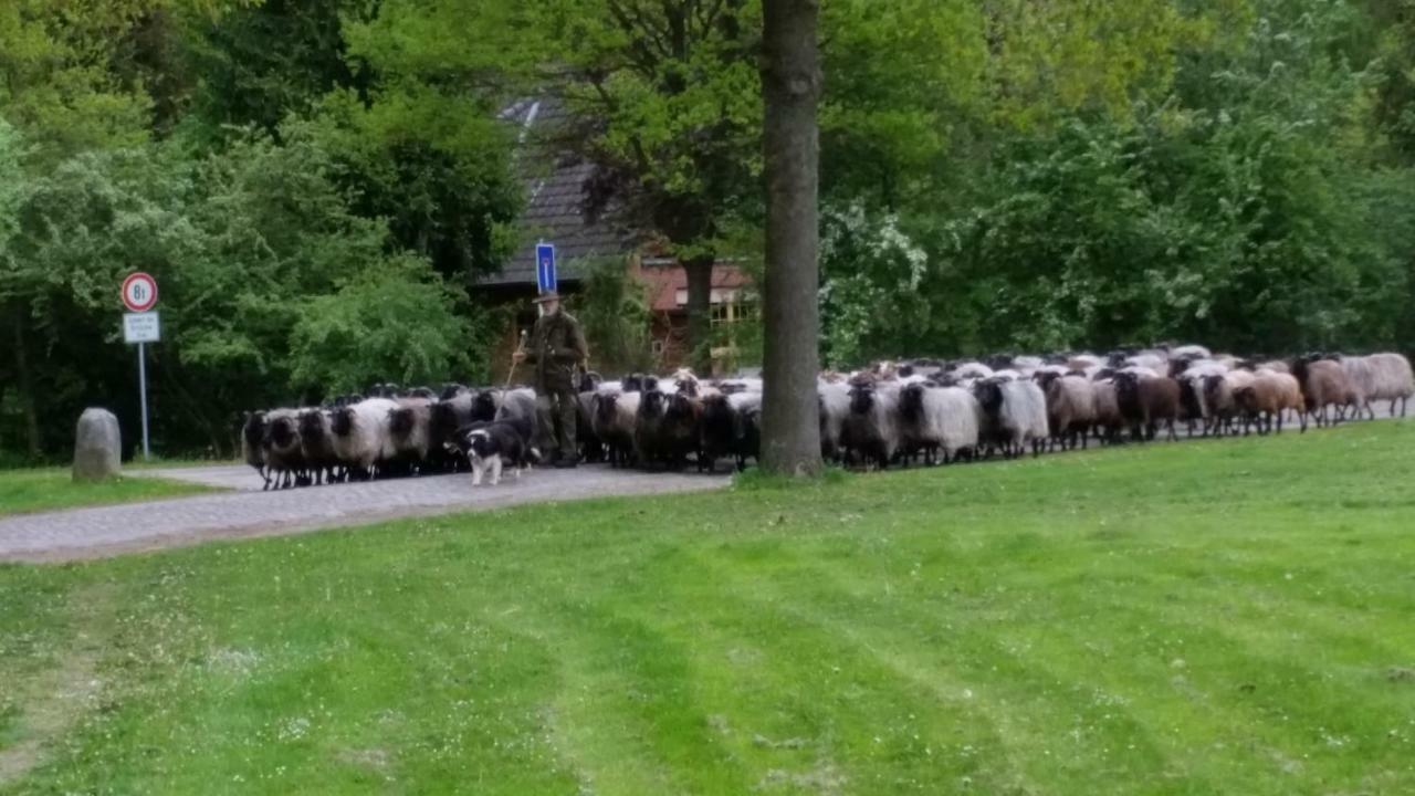 Ferienwohnungen Tewes Müden 외부 사진